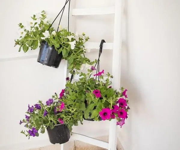 Casa Da Mario * 阿沃拉